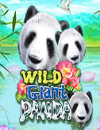 สัมผัสความสนุกกับ roar66 สล็อต ผ่านการทดลองเล่น